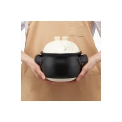 Maison Ghibli Banko-Yaki Rice Pot 1000Ml - My Neighbor Totoro New
