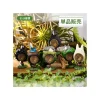 Maison Ghibli Collection Totoro 1 Blind Ring - My Neighbor Totoro Online