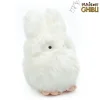 Maison Ghibli Plush Totoro White 20 Cm -My Neighbor Totoro Sale