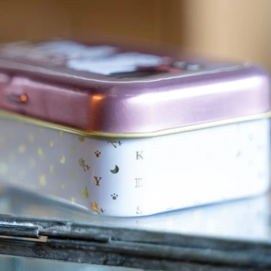 Maison Ghibli Small Metal Box Jiji & Lily - Kiki'S Delivery Service Clearance