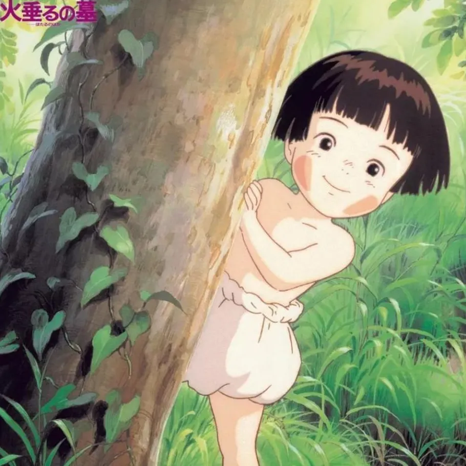Maison Ghibli Soundtrack Limited Edition Lp - Grave Of The Fireflies Outlet